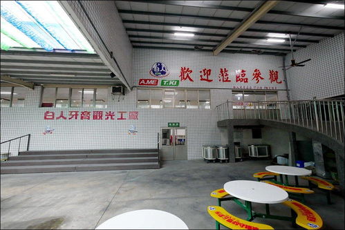 特立獨行的工業旅游體驗 探訪臺灣白人牙膏觀光工廠