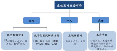 東軟集團 深耕醫(yī)療信息化，構(gòu)建“三駕馬車”驅(qū)動的數(shù)字未來