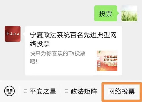 寧夏政法系統(tǒng)百名先進(jìn)典型網(wǎng)絡(luò)投票活動(dòng)正式啟動(dòng)，誠(chéng)邀公眾踴躍參與
